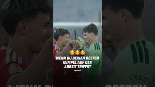 Markiere jemanden, den du genauso begrüßen würdest wie Tom Bischof und Jonas Urbig. 🤝😍 Markiere jemanden, den du genauso begrüßen würdest wie Tom Bischof und Jonas Urbig. 🤝😍
