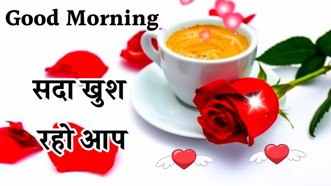 Good morning shayari  Good morning Status  good morning video ...