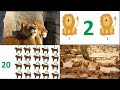 Learn Numbers With Number Zoo For Kindergarten Learn To Count 1 20 For Kids Los Números Del 1 20 Learn Numbers With Number Zoo For Kindergarten Learn To Count 1 20 For Kids Los Números Del 1 20