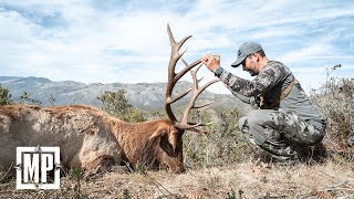Giant Tule Elk In California | Mark V. Peterson Hunting