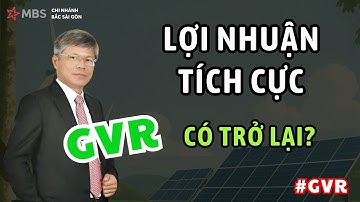 📈 Cổ phiếu GVR | Lợi nhuận tích cực – Cổ phiếu có trở lại?