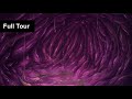 Full Tour Vore Audio (Stomach Growling ASMR, Intestine Ambience, Burps)