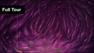 Full Tour Vore Audio (Stomach Growling ASMR, Intestine Ambience, Burps)