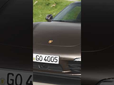 Which Porsche models