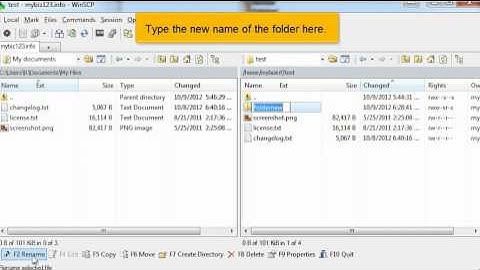 HostMetro - FTP - WinSCP Managing Files