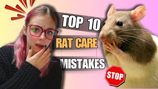 10 COMMON RAT CARE MISTAKES ‼️⚠️