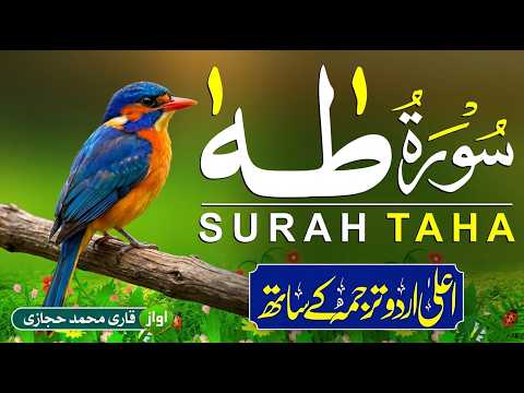 Surah Taha سورة طه with Urdu & Hindi Translation | Powerful Quran Recitation | Taskeen Al Rooh