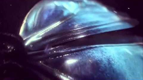 GMV MEP | Throne | Part 11