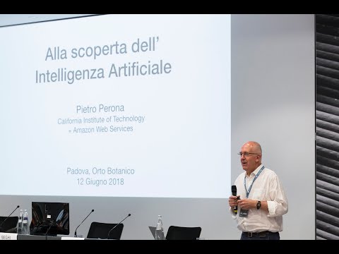 Attraverso lo Specchio. Alice nel Paese dell&rsquo;Intelligenza Artificiale. - Parte 2/5