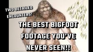 Bigfoot Video Compilation with Added Eyewitness commentary #bigfoot #Bigfootwitness #bigfootsighting