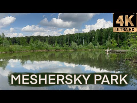 Video: Foreste Meshchersky: descrizione, natura, caratteristiche e recensioni. Regione di Meshchersky: posizione, mondo naturale e animale