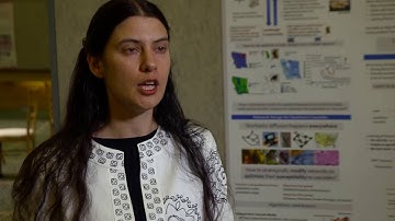 CCC Symposium (2016) Poster Session: Bistra Dilkina, Georgia Tech