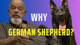 German Shepherd Is The Most Versatile Breed In The World