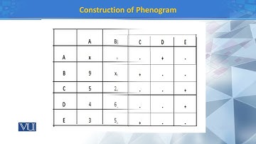 Construction of Phenogram I | Principles of Systematics | ZOO511T_Topic117