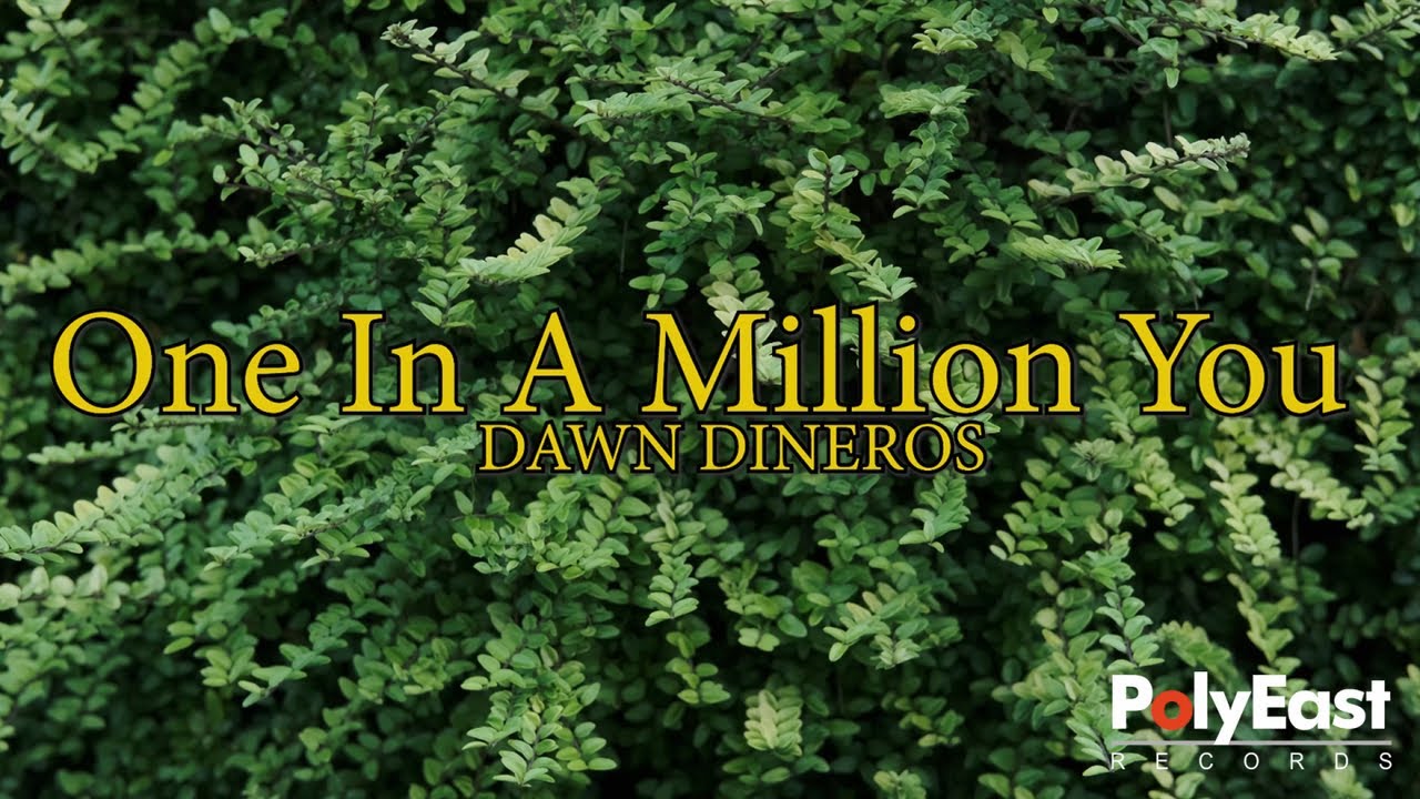 Dawn Dineros - One In A Million You (Official Lyric Video) Dawn Dineros - One In A Million You (Official Lyric Video)