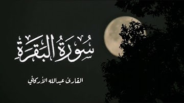 آية الكرسي بصوت القارئ عبدالله الأركاني
