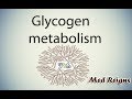 Glycogen Synthesis and Degradation