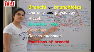 Bronchi anatomy & physiology in hindi | bronchial tree | bronchioles | alveoli | gases exchange