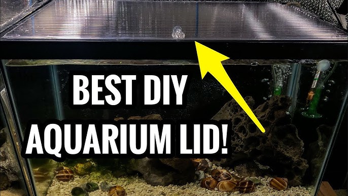 HOW TO Build Plastic Aquarium Lids, Fully Customizable