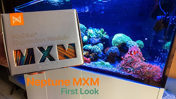 Neptune MXM Module - First Look