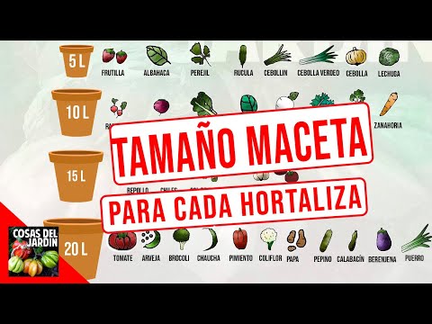 Video: Cómo Plantar Vegetación En Escaleras Con Costos Mínimos