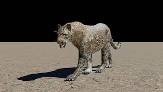 Realistic 3D Leopard Walk Cycle (Blender 4.1)