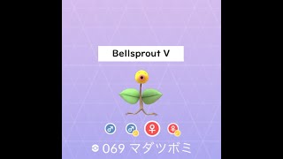 悲報 ポケモンgoで色違いミュウが解禁されました 的youtube视频效果分析报告 Noxinfluencer