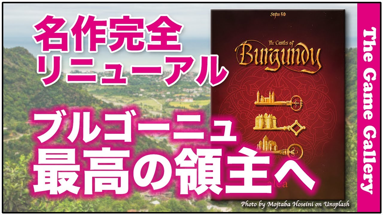 A masterpiece of territorial development using dice - [Burgundy 