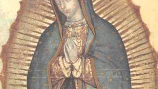 ⁣La historia de las apariciones de la Virgen de Guadalupe