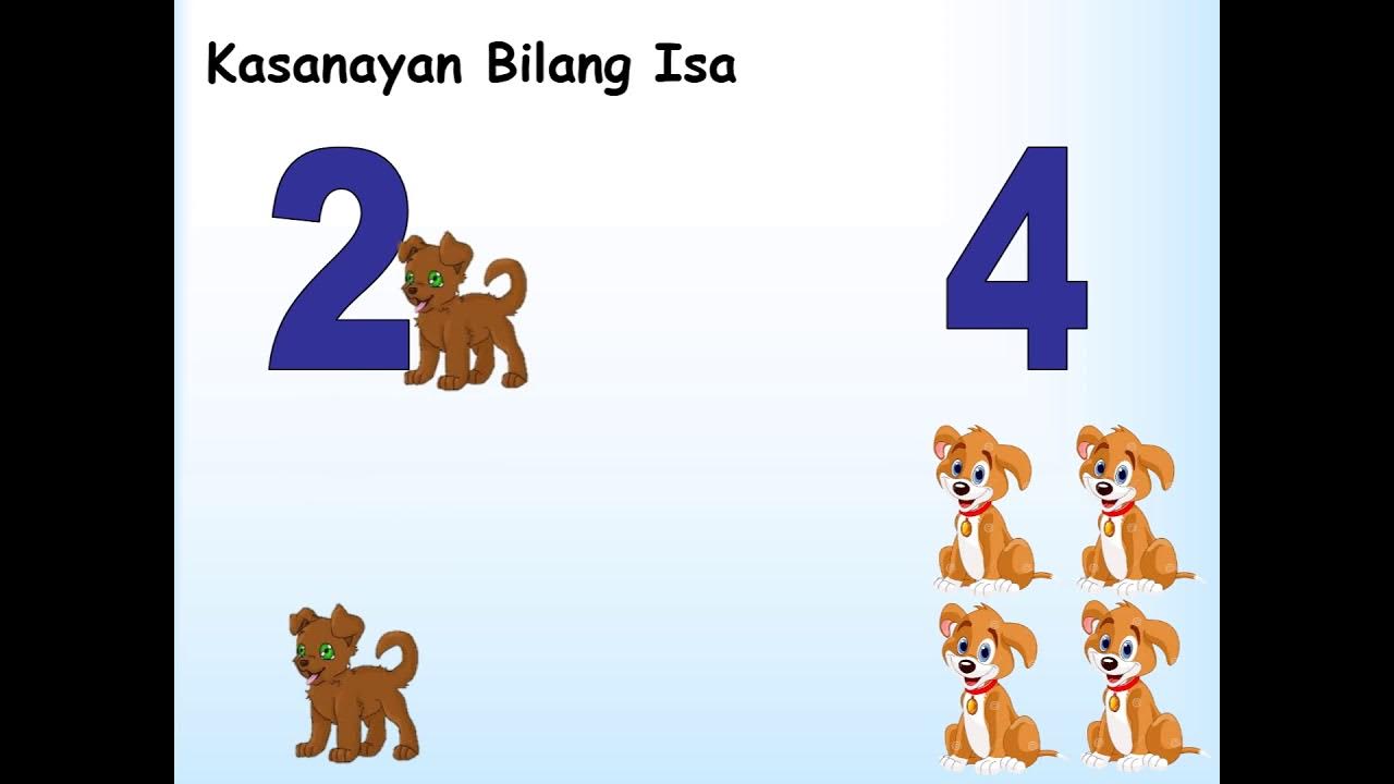 What Graph Compares Two Sets Of Data