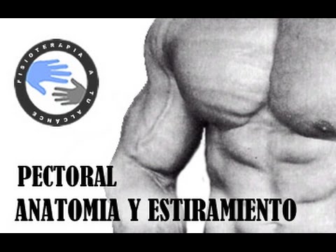 El tratamiento varikoza por los ungüentos y las pastillas