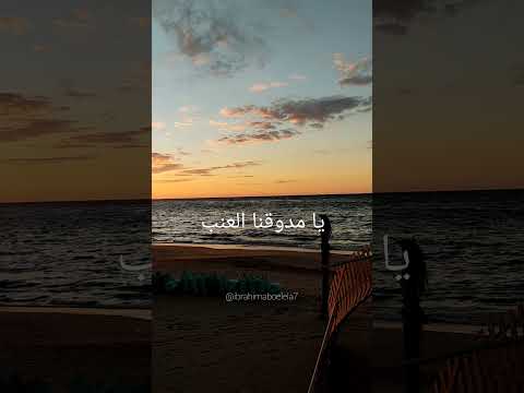 يالالالي محمد منير اجمل مقطع في الأغنية حالة واتس