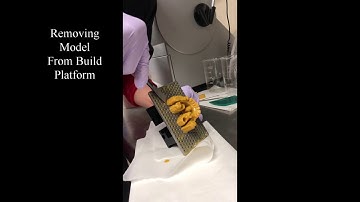 Removing a Model from Build Platform