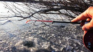 БРАКОНЬЕРЫ АЖ БЕГУТ... Первый ЛЕД в АСТРАХАНИ. Зимняя рыбалка 2022. Зимняя рыбалка.