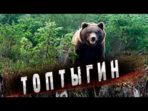 /Таежная история о дружбе медведя и человека в глухой тайге/