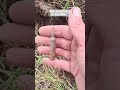 Metal Detecting Uk Wales