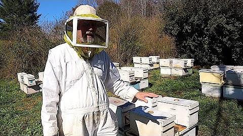 Overwintering Nucs on a Double Screen Board