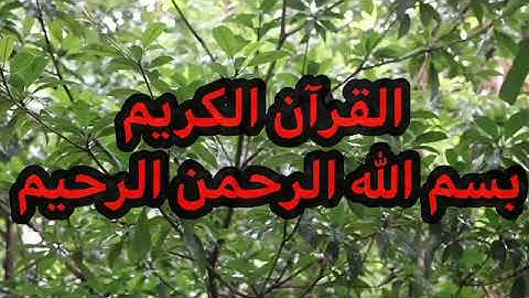 تلاوة مباركة من القرآن الكريم ❤️