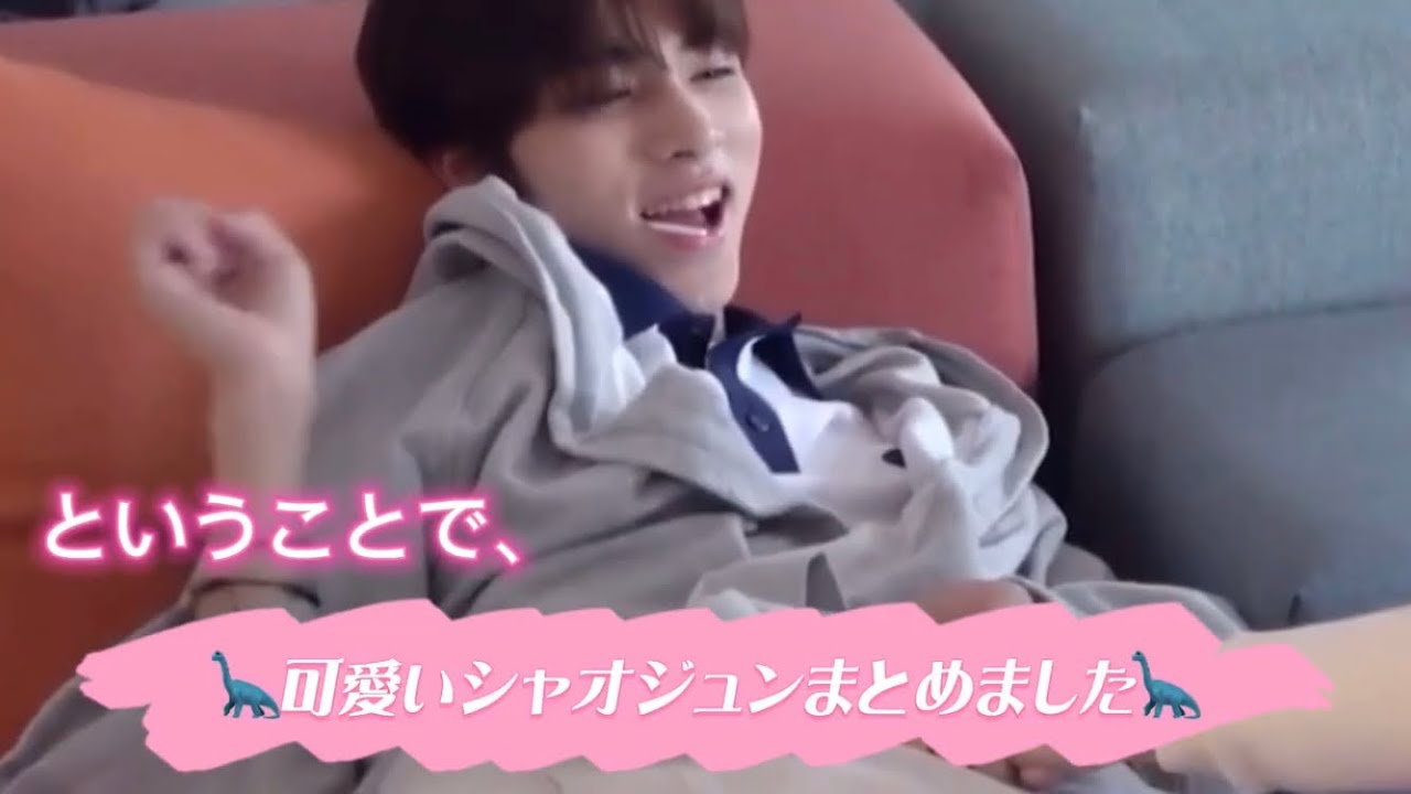 [WayV/NCT]『シャオジュン様』が『じゅんぴ（仮）』になるまで。わんぱくかっ。かわいいわっ。（日本語字幕）