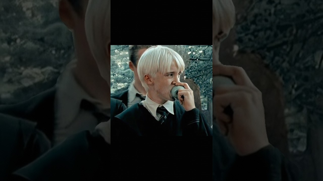 I'm so fab ! #✨drago_malfoy✨#serpantard🐍