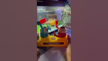 ⚽️⚽️⚽️ 2022 WORLD CUP OF ROBOTS 🔵BRAZIL VS 🔴SOUTH KOREA WHO WINS #asmr #shorts #battlebots