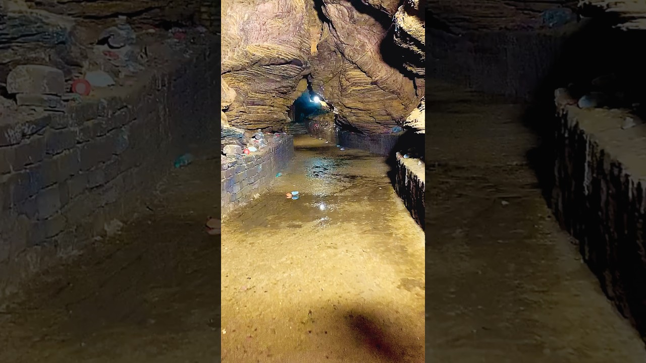 Guess What Idontcare Trendingreels Chihuahua Remiroyale92 Fypage - YouTube Auto PHP Script