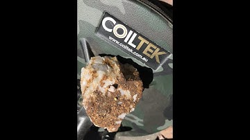 Coiltek 9" Elite - Big and small specimens and tiny nuggets Live