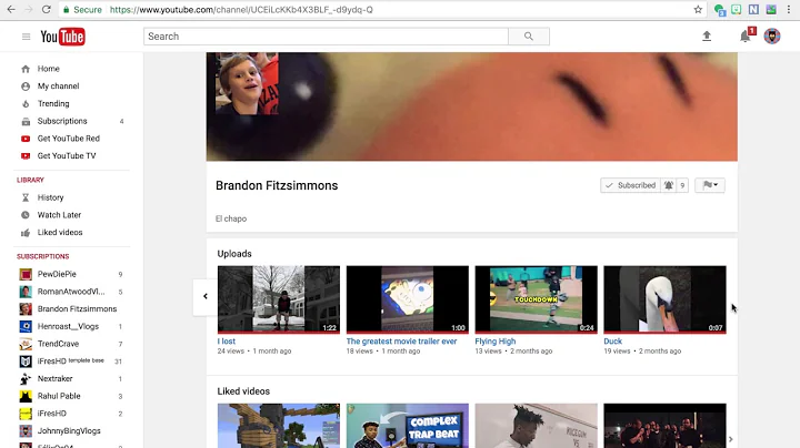 SUBSCRIBE TO @Brandon Fitzsimmons!