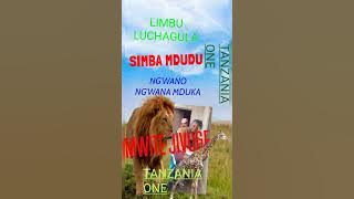 LIMBU LUCHAGULA UJUMBE WA GWANDI NEW MPYA MSABAZAJI 0754878773