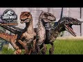 All New Raptor Skins Showcase!!!  - Return to Jurassic Park Showcase DLC