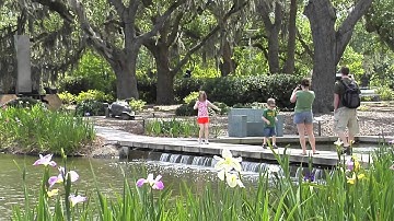 Welcome ADA 2013 New Orleans