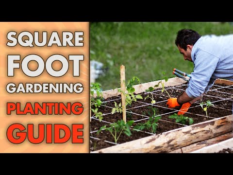 Video: Cik augu uz kvadrātpēdas - stādu atstatums kvadrātpēdas dārzā