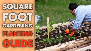 Square Foot Gardening Planting Guide  ALL YOU NEED TO KNOW For Planting Successfully