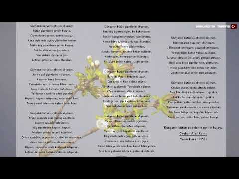 Dünyanın Bütün Çiçekleri Şiiri fon müziği - Rodrigo Gitar Konçertosu (Öğretmenler Günü için )